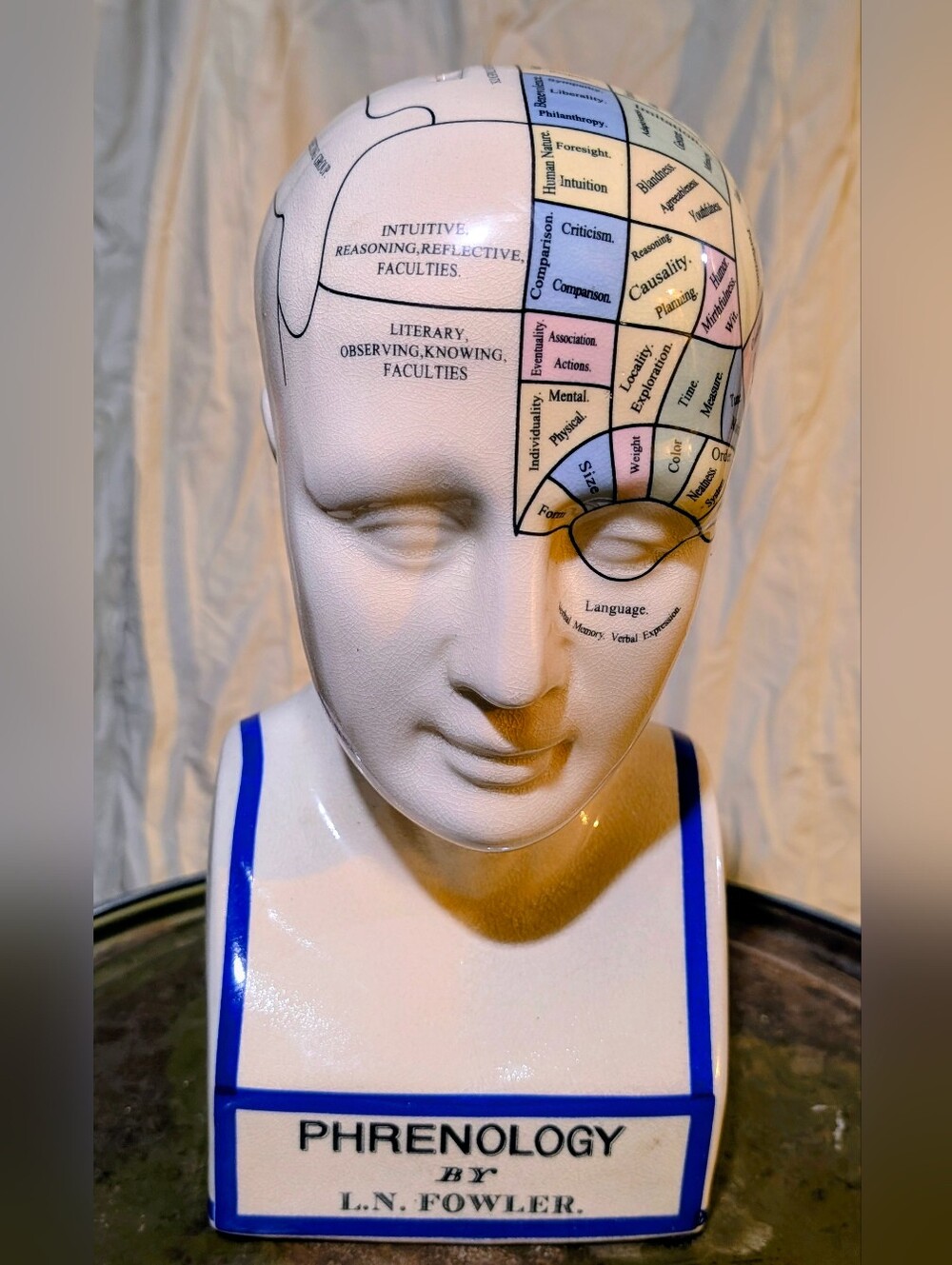 L.N. Fowler phrenology head statue  vintage porcelain bust